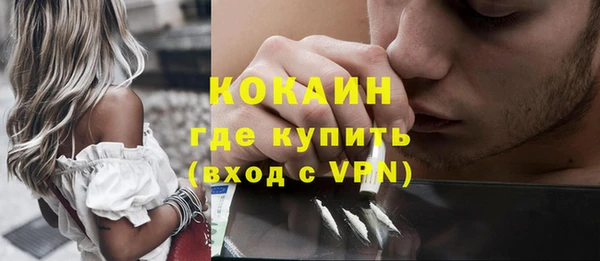 mix Богородицк