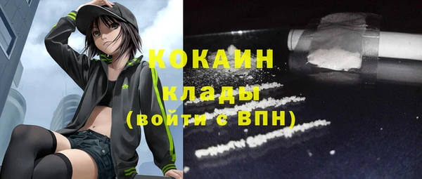 mix Богородицк