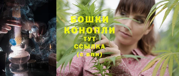mix Богородицк