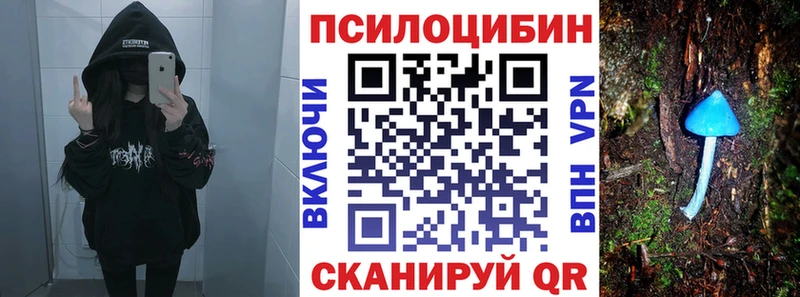 МЕГА   Сурск  Галлюциногенные грибы MAGIC MUSHROOMS 